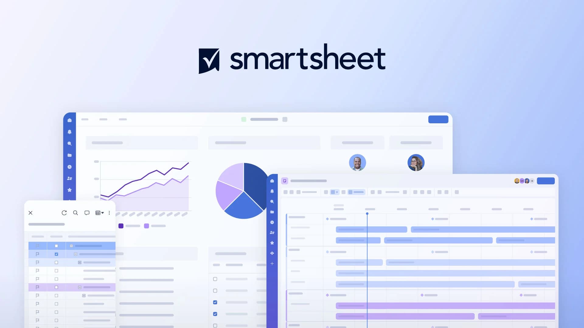 Smartsheet screenshot 1