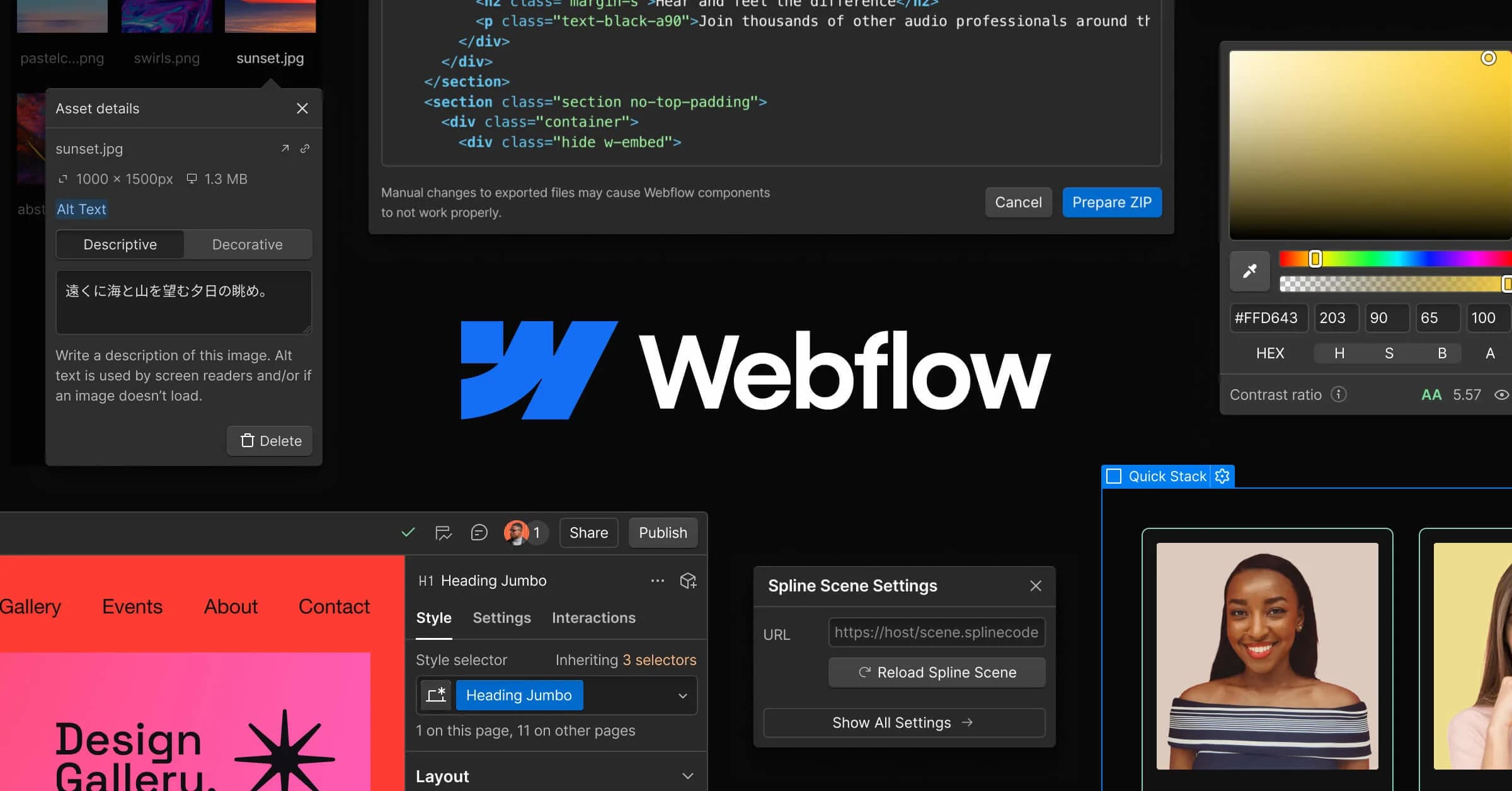 Webflow screenshot 1
