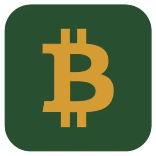 Bitcoin Loans Market logo