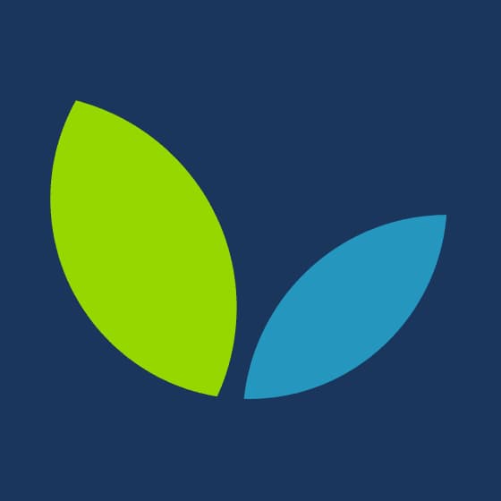 Dayspring Software logo